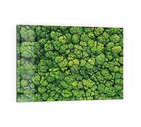 DEQORI Pannello posteriore per cucina in vetro, motivo "corone degli alberi dall'alto", 60 x 40 cm, pannello posteriore per bagno o stufa, paraspruzzi per cucina e bagno, decorazione moderna per