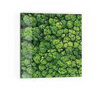 DEQORI Pannello posteriore per cucina in vetro, motivo "corone degli alberi dall'alto", 60 x 60 cm, pannello posteriore per bagno o stufa, paraspruzzi per cucina e bagno, decorazione moderna per