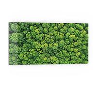 DEQORI Pannello posteriore per cucina in vetro, motivo "corone degli alberi dall'alto", 80 x 40 cm, pannello posteriore per bagno o stufa, paraspruzzi per cucina e bagno, decorazione moderna per