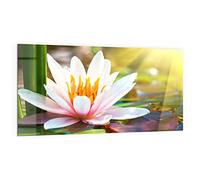 DEQORI Pannello posteriore per cucina in vetro, motivo "fiori di ninfea bianca", 100 x 50 cm, pannello posteriore per bagno o stufa, paraspruzzi per cucina e bagno, decorazione moderna per specchio