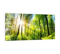 DEQORI Pannello posteriore per cucina in vetro, motivo "luce penetra alberi", 100 x 50 cm, pannello posteriore per bagno o stufa, paraspruzzi per cucina e bagno, decorazione moderna per specchio piastrellato