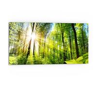 DEQORI Pannello posteriore per cucina in vetro, motivo "luce penetra alberi", 80 x 40 cm, pannello posteriore per bagno o stufa, paraspruzzi per cucina e bagno, decorazione moderna per specchio piastrellato