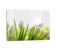 DEQORI Pannello posteriore per cucina in vetro, motivo tulipani bianchi come la neve, 60 x 40 cm, pannello posteriore per bagno o stufa, paraspruzzi per cucina e bagno, decorazione moderna per