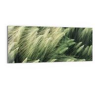 DEQORI Quadro in vetro vero | Motivo campo di grani | orizzontale unico pezzo 125 x 50 cm | bella decorazione da parete per soggiorno, camera da letto, corridoio e cucina | moderna decorazione da