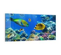 DEQORI Quadro in vetro vero | motivo mondi subacquei | orizzontale unico pezzo 100 x 50 cm | bella decorazione da parete per soggiorno, camera da letto, corridoio e cucina | moderna decorazione da