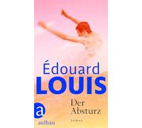 Der Absturz: Roman