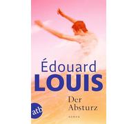 Der Absturz: Roman