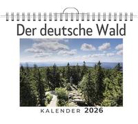 Der deutsche Wald: (Wandkalender 2026, Kalender DIN A4 quer, Monatskalender im Querformat mit Kalendarium, das perfekte Geschenk)