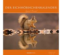 Der Eichhörnchenkalender 2019
