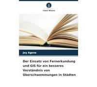 Der Einsatz von Fernerkundung und GIS für ein besseres Verständnis von Überschwemmungen in Städten