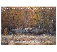 Der Elch - König der skandinavischen Wälder (Tischkalender 2026 DIN A5 quer), CALVENDO Monatskalender: Der Elch ist der König in den skandinavischen Wäldern