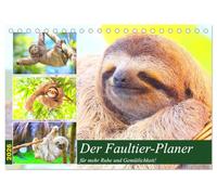 Der Faultier-Planer für mehr Ruhe und Gemütlichkeit! (Tischkalender 2026 DIN A5 quer), CALVENDO Monatskalender: Mit weniger Hektik und Stress lebt es sich um einiges entspannter!