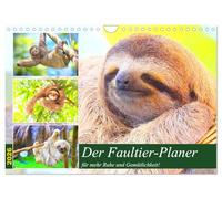 Der Faultier-Planer für mehr Ruhe und Gemütlichkeit! (Wandkalender 2026 DIN A4 quer), CALVENDO Monatskalender: Mit weniger Hektik und Stress lebt es sich um einiges entspannter!
