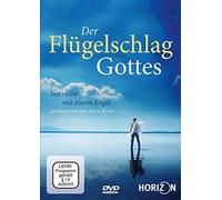 Der Flügelschlag Gottes - Interview mit einem Engel