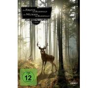 Der Förster vom Silberwald/Der Wilderer vom Silberwald
