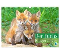 Der Fuchs: Kluger Jäger (Wandkalender 2027 DIN A3 quer), CALVENDO Monatskalender
