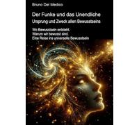 Der Funke und das Unendliche. Ursprung und Zweck allen Bewusstseins.: Wo Bewusstsein entsteht. Warum wir bewusst sind. Eine Reise ins universelle Bewusstsein