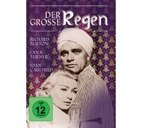Der große Regen