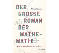 Der große Roman der Mathematik: Von den Anfängen bis heute: 6364