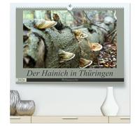 Der Hainich in Thüringen - Weltnaturerbe (hochwertiger Premium Wandkalender 2026 DIN A2 quer), Kunstdruck in Hochglanz: Der Nationalpark Hainich - das Herzstück der Urwaldkulisse in Thüringen