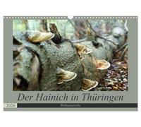 Der Hainich in Thüringen - Weltnaturerbe (Wandkalender 2026 DIN A3 quer), CALVENDO Monatskalender: Der Nationalpark Hainich - das Herzstück der Urwaldkulisse in Thüringen