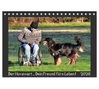 Der Hovawart... Dein Freund fürs Leben ! (Tischkalender 2026 DIN A5 quer), CALVENDO Monatskalender: Wandkalender, Monatskalender, 14 Seiten