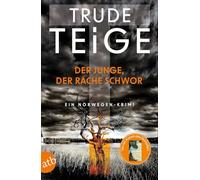 Der Junge, der Rache schwor: Ein Norwegen-Krimi: 1