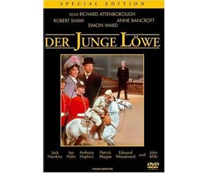 Der junge Löwe