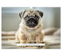 Der kleine Mops-Kalender (Wandkalender 2027 DIN A3 quer), CALVENDO Monatskalender: Ein kleiner Hund, der große Gefühle weckt, sanft, witzig und einfach unwiderstehlich.
