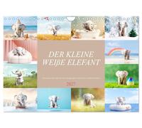 Der kleine weiße Elefant (Wandkalender 2027 DIN A4 quer), CALVENDO Monatskalende