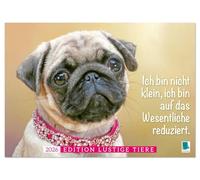 Der Mops: Nicht klein, sondern aufs Wesentliche reduziert. (Wandkalender 2026 DIN A4 quer), CALVENDO Monatskalender: Heiter bis mopsig: ein Sprüchekalender gegen Perfektionismus und Selbstoptimierung