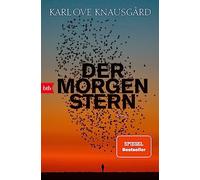 Der Morgenstern: Roman
