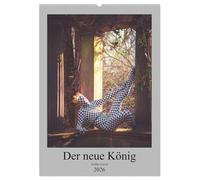 Der neue König (Wandkalender 2026 DIN A2 hoch), CALVENDO Monatskalender: Der Ganzkörperanzug istaus einem dünnen Stoff der auch Kopf und Hände umfasst.