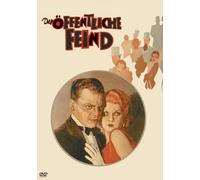 Der öffentliche Feind