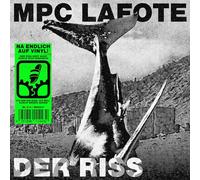 Der Riss