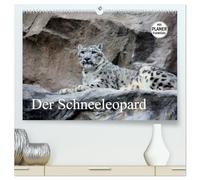 Der Schneeleopard (hochwertiger Premium Wandkalender 2026 DIN A2 quer), Kunstdruck in Hochglanz: Die perfekte Raubkatze für das Leben im Gebirge.