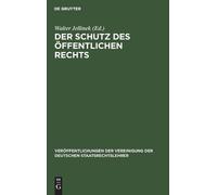 Der Schutz Des Öffentlichen Rechts (Copertina rigida)
