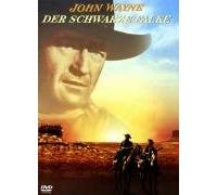 Der schwarze Falke