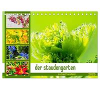 der staudengarten zu bad hersfeld (Tischkalender 2026 DIN A5 quer), CALVENDO Monatskalender: Der Fotokünstler Steffen Sennewald hat das üppige ... zu allen vier Jahreszeiten porträtiert.