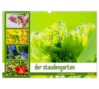 der staudengarten zu bad hersfeld (Wandkalender 2026 DIN A3 quer), CALVENDO Monatskalender: Der Fotokünstler Steffen Sennewald hat das üppige ... zu allen vier Jahreszeiten porträtiert.