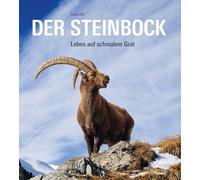 Der Steinbock: Leben auf schmalem Grat