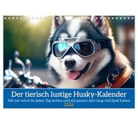 Der tierisch lustige Husky Kalender (Wandkalender 2026 DIN A4 quer), CALVENDO Monatskalender: Mit diesem Kalender wird der Husky Besitzer jeden Tag lachen und ein ganzes Jahr lang viel Spaß haben