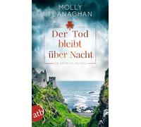 Der Tod bleibt über Nacht: Ein Krimi in Irland: 2