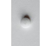 Der totale Rausch: Drogen im Dritten Reich