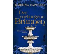 Der verborgene Brunnen: Historischer Roman aus der Provence