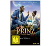 Der verlorene Prinz und das Reich der Träume (DVD)