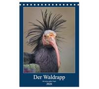 Der Waldrapp - Der etwas andere Vogel (Tischkalender 2026 DIN A5 hoch), CALVENDO Monatskalender: Wundervolle Fotografien vom Waldrapp