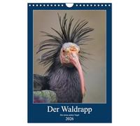Der Waldrapp - Der etwas andere Vogel (Wandkalender 2026 DIN A4 hoch), CALVENDO Monatskalender: Wundervolle Fotografien vom Waldrapp