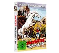 Der weiße Hengst in der Prärie - Snowfire