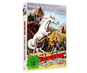 Der weiße Hengst in der Prärie - Snowfire